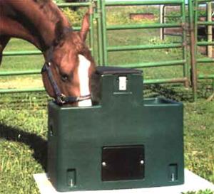 Automatic water clearance feeder for horses