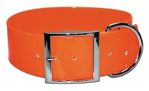 Dog Collars