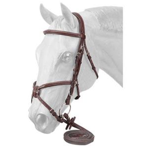 English Halters/Bridles