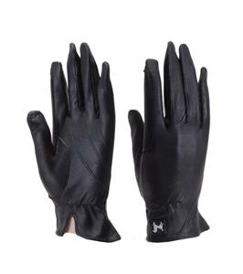 Gloves & Accessories