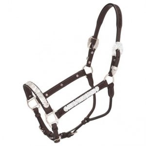 Premium Classic Silver V Show Halter