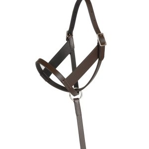 Lexington Foal Leather Halter