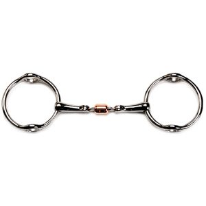 Balding Gag Bit