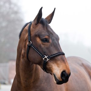 Horze Diamond Halter