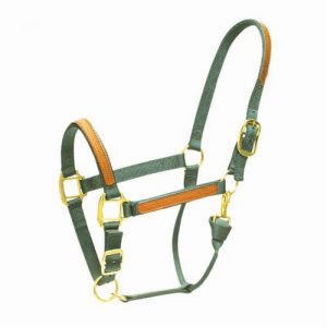 Leather Trim Horse Halter
