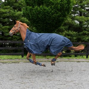 Horze Avalanche 1200D Turnout sheet
