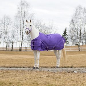 Horze Pony Winter Rain Blanket
