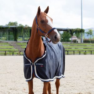 B Vertigo Seattle Fleece & Satin Show Blanket