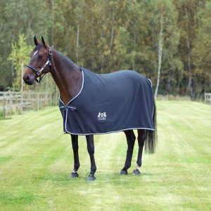 B Vertigo Caletta Lightweight Show Sheet