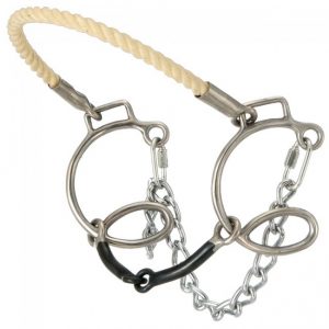 Kelly Silver Star 6