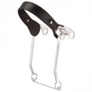 Kelly Silver Star Leather Nose Hackamore Bit