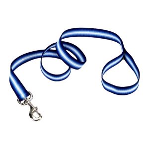 Trendz® Graduated Leash 6'