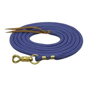 Nylon Trainer's Lead
