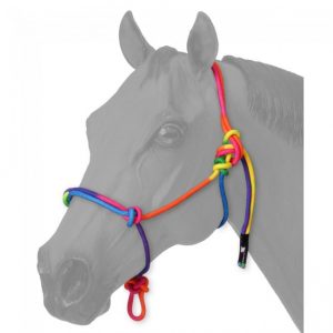 Poly Rope Rainbow Halter