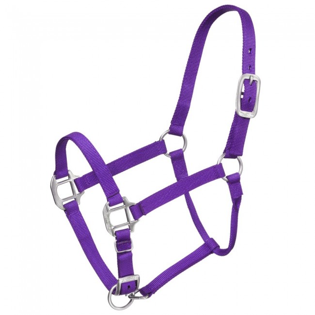 thumbnail image 2 of Tough 1 Premium Nylon Halter With Overlay For Draft Horses - Doubled Stitched, Adjustable Buckle & Snap 2 of 11