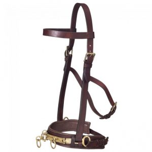 Professional Leather Lunge Caveson
