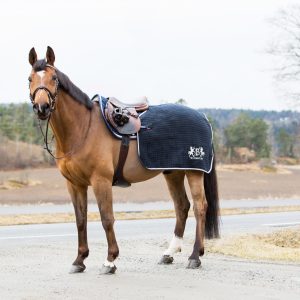 B Vertigo Concord Exercise Blanket
