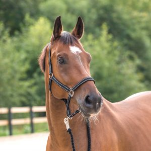 Horze Cooper Halter and Lead Set