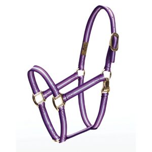 Premium Halter with Equi-Snap®