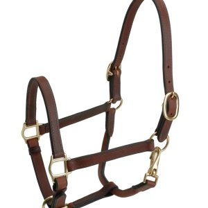 Leather Pony Halter 5/8