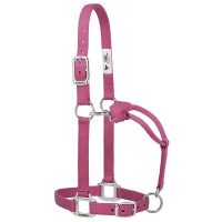 Original Adjustable Nylon Halter with Chrome Plated Hardware