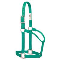 Original Non-Adjustable Nylon Halter with Chrome Plated Hardware