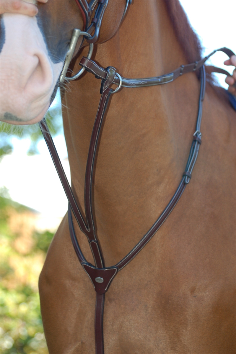 Martingales Breastplates