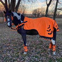 Tough-1 Horse Halloween Set