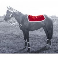 Santa Western Pad Cover