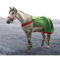 Elf 4pc Quarter Sheet Set