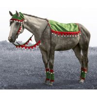 Elf Western Set