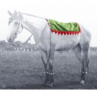 Elf Western Pad Cover