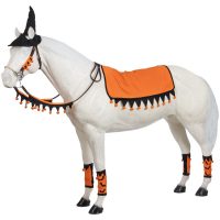 Halloween Western Set